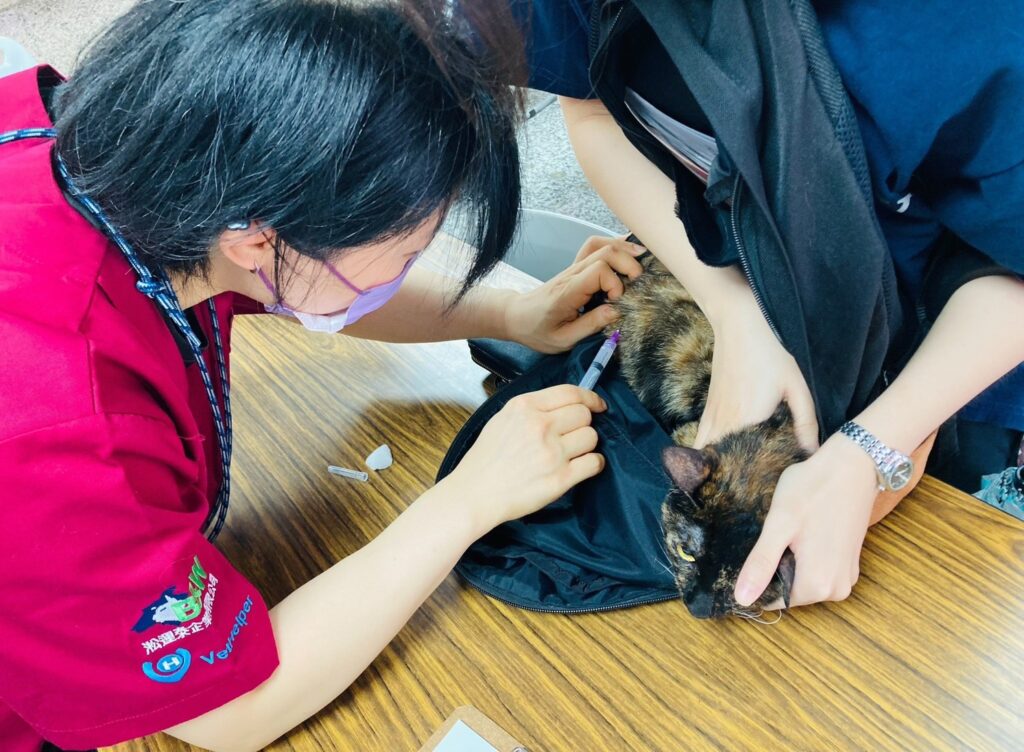 超好玩的《不浪了！踩街公益市集》7/26 西門町熱力展開！藝人表演、免費疫苗好康一次看