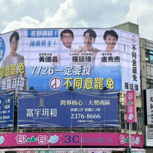 反罷擊出「全壘打」  盧秀燕感謝民眾黨：沒有你們我們做不到  未來繼續並肩前行