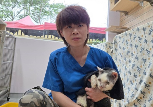 新北市動保處救援平溪老貓，截肢抗病重生勇敢走進幸福新家