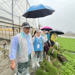 農業部啟動0728豪雨應變機制 協助受災農民復耕復建