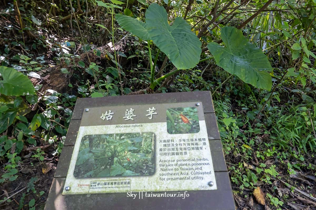 【水濂橋步道.糯米橋】新竹峨嵋景點推薦.不開車IG.網美秘境.台灣好行 【水濂橋步道.糯米橋】新竹峨嵋景點推薦.不開車IG.網美秘境.台灣好行