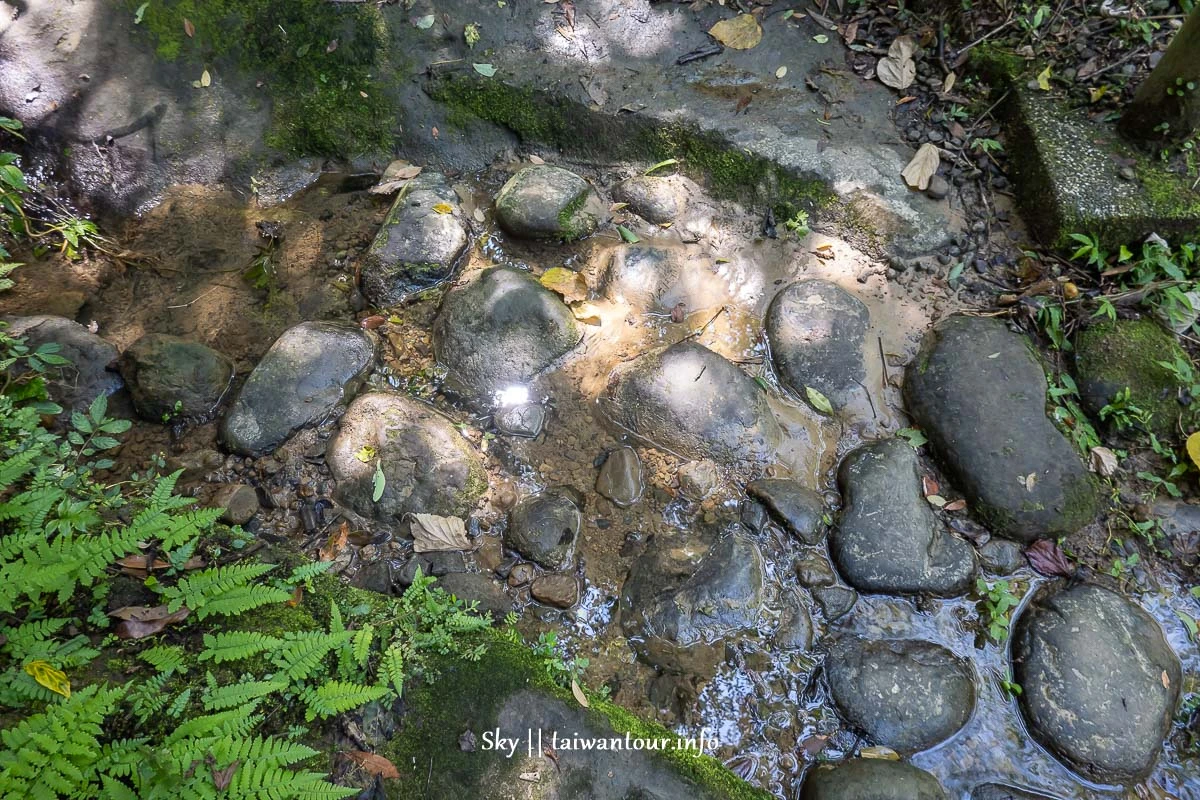 【水濂橋步道.糯米橋】新竹峨嵋景點推薦.不開車IG.網美秘境.台灣好行 【水濂橋步道.糯米橋】新竹峨嵋景點推薦.不開車IG.網美秘境.台灣好行