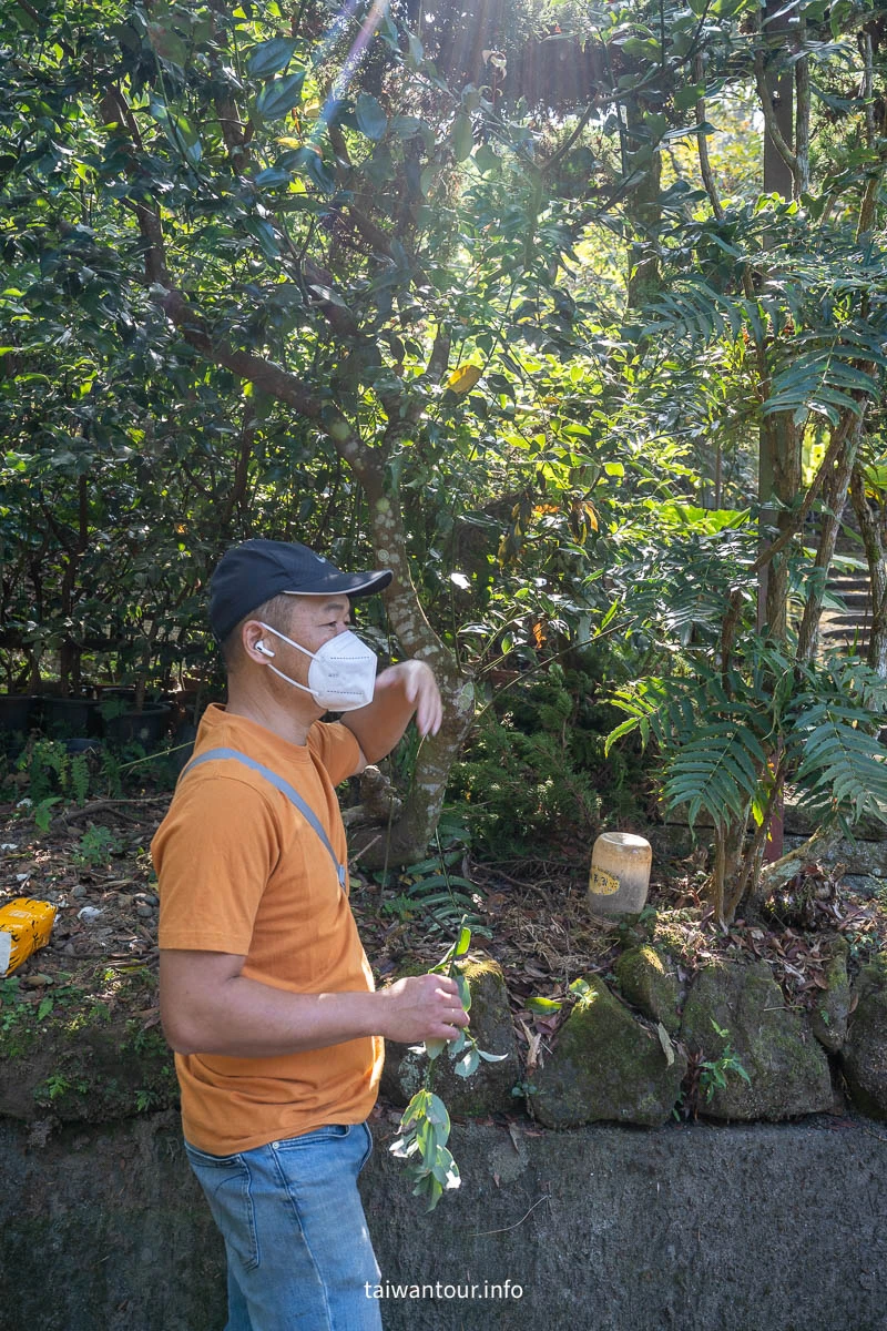 【賴坤陽的家】嘉義梅山木屋民宿推薦.電話預約 【賴坤陽的家】嘉義梅山木屋民宿推薦.電話預約