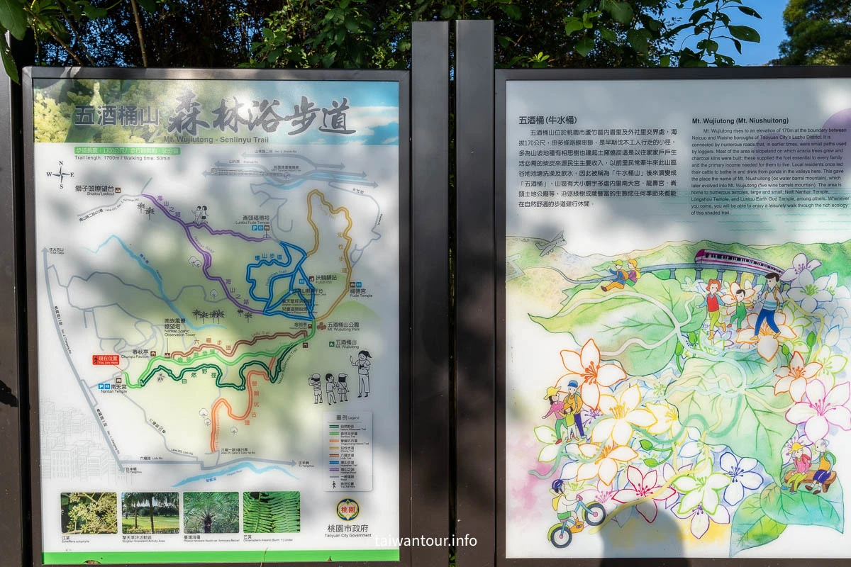 【五酒桶山步道】桃園親子景點推薦.交通.地圖
