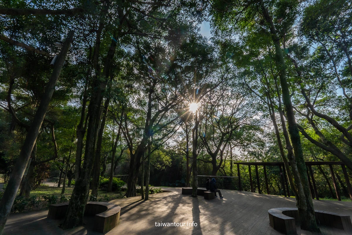 【五酒桶山步道】桃園親子景點推薦.交通.地圖