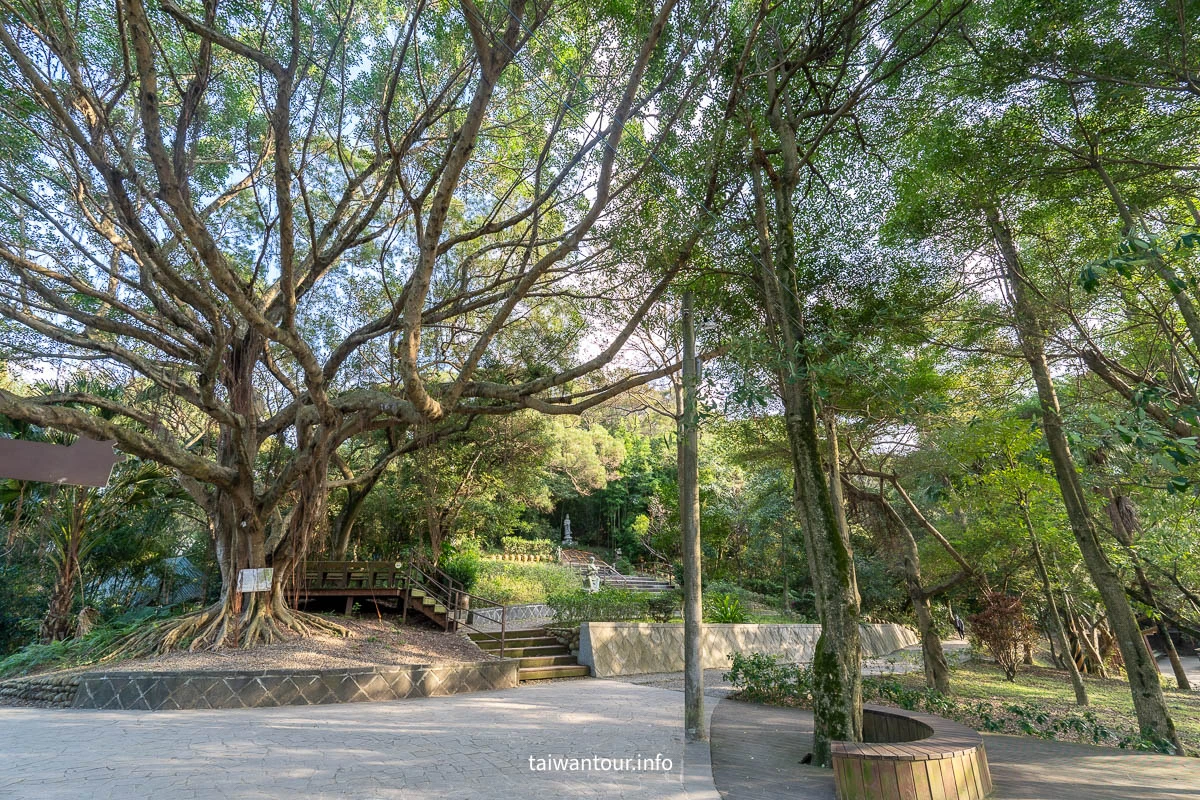 【五酒桶山步道】桃園親子景點推薦.交通.地圖
