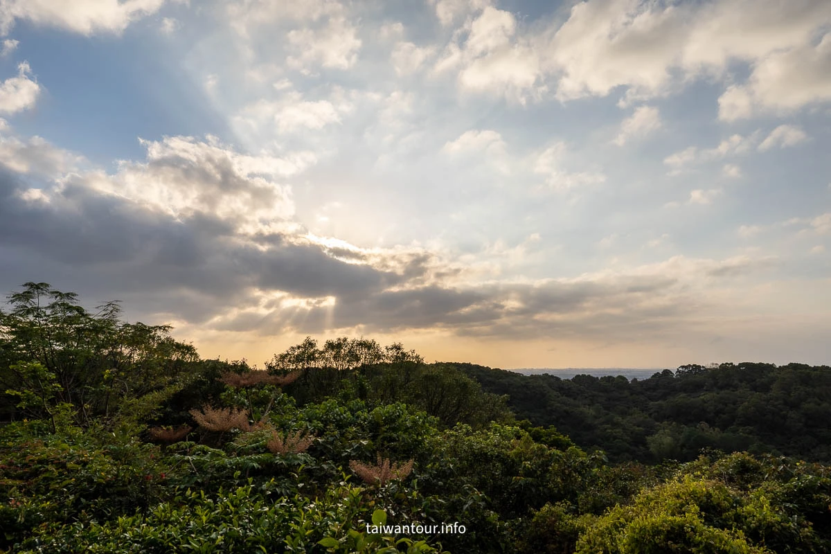 【五酒桶山步道】桃園親子景點推薦.交通.地圖