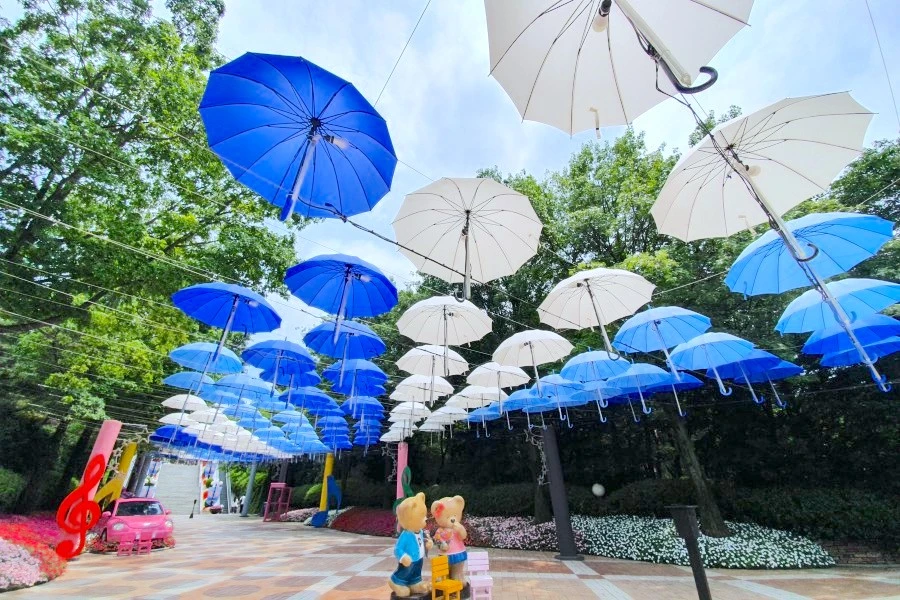 【2025大邱自由行】韓國美食景點地圖.一日遊行程.交通住宿全攻略 【2025大邱自由行】韓國美食景點地圖.一日遊行程.交通住宿全攻略