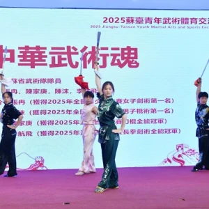 A蘇台青年以武會友 共繪中華武術新篇章