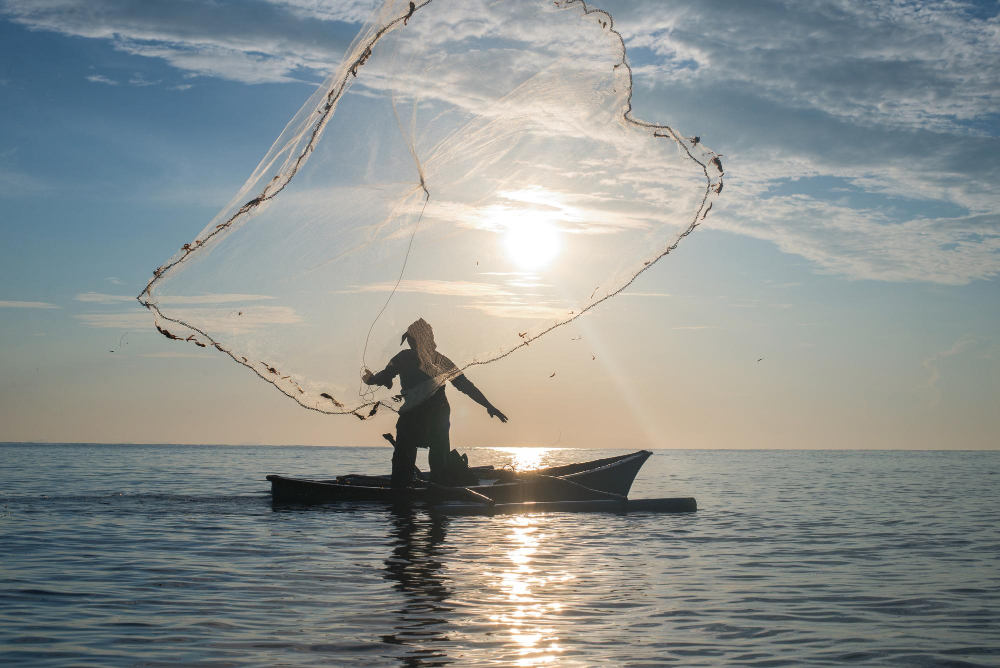 綠能浪潮下的漁業困境 — 台灣離岸風電恐淪為海上「覓食難民」 綠能浪潮下的漁業困境 — 台灣離岸風電恐淪為海上「覓食難民」