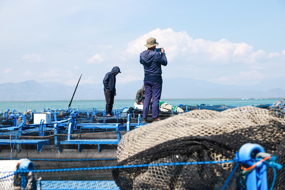 漁民憂心風場設立，綠電進展與漁業權益需更平衡