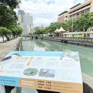 基隆市田寮河「黃頭鷺」生態說明牌引導環境共融共好