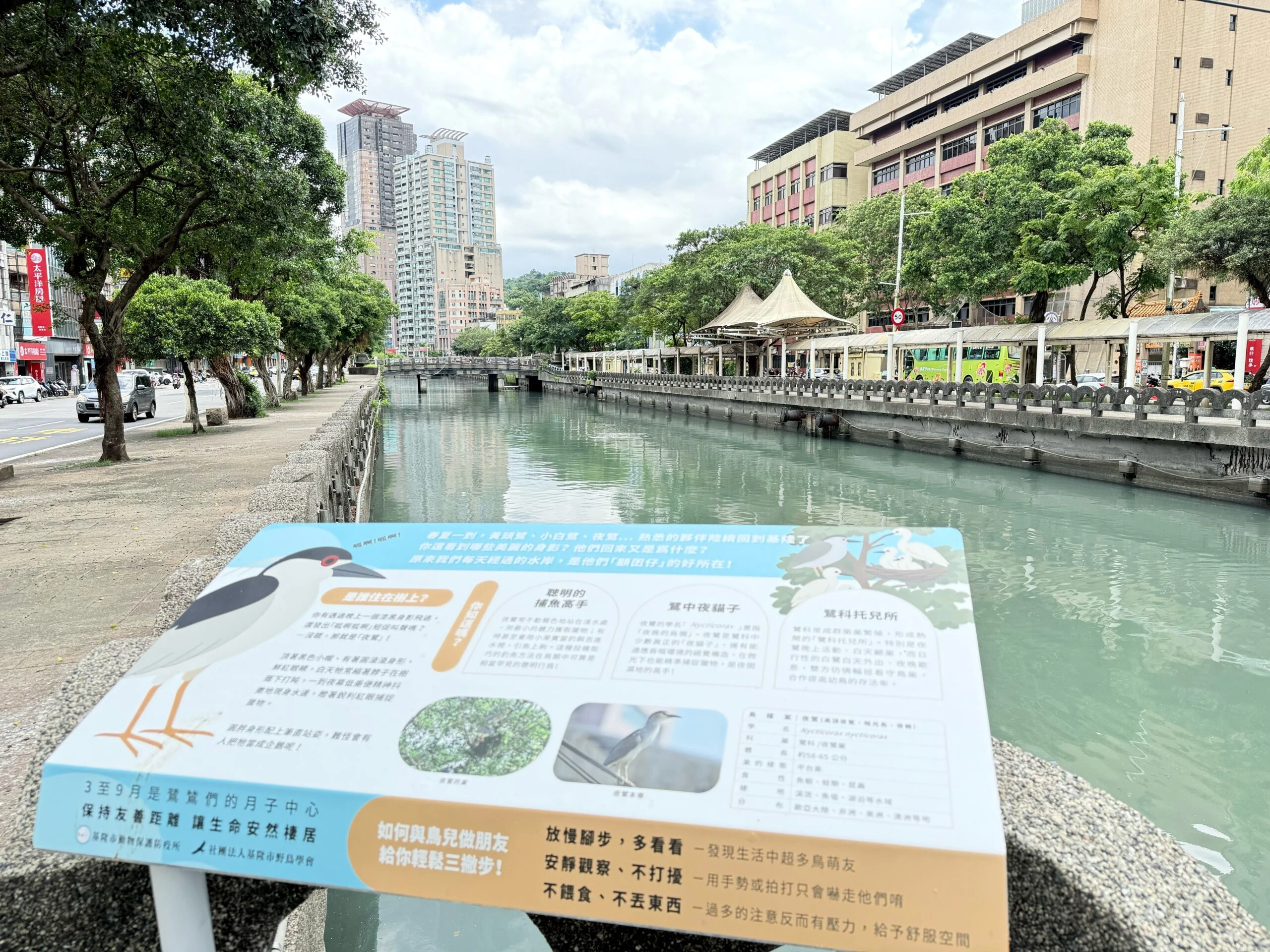 基隆市田寮河「黃頭鷺」生態說明牌引導環境共融共好