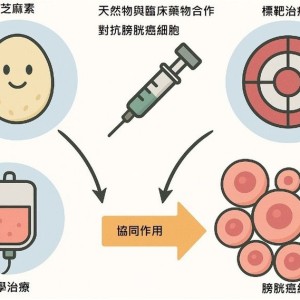 不用二選一！　中西合併也能精準治療醫癌症
