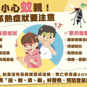 今年首起本土登革熱群聚現蹤高雄　疾管署籲：雨後落實防蚊