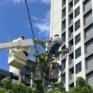 搶修楊柳颱風外圍環流停電  台電北西區處力拼今晚23：00復電