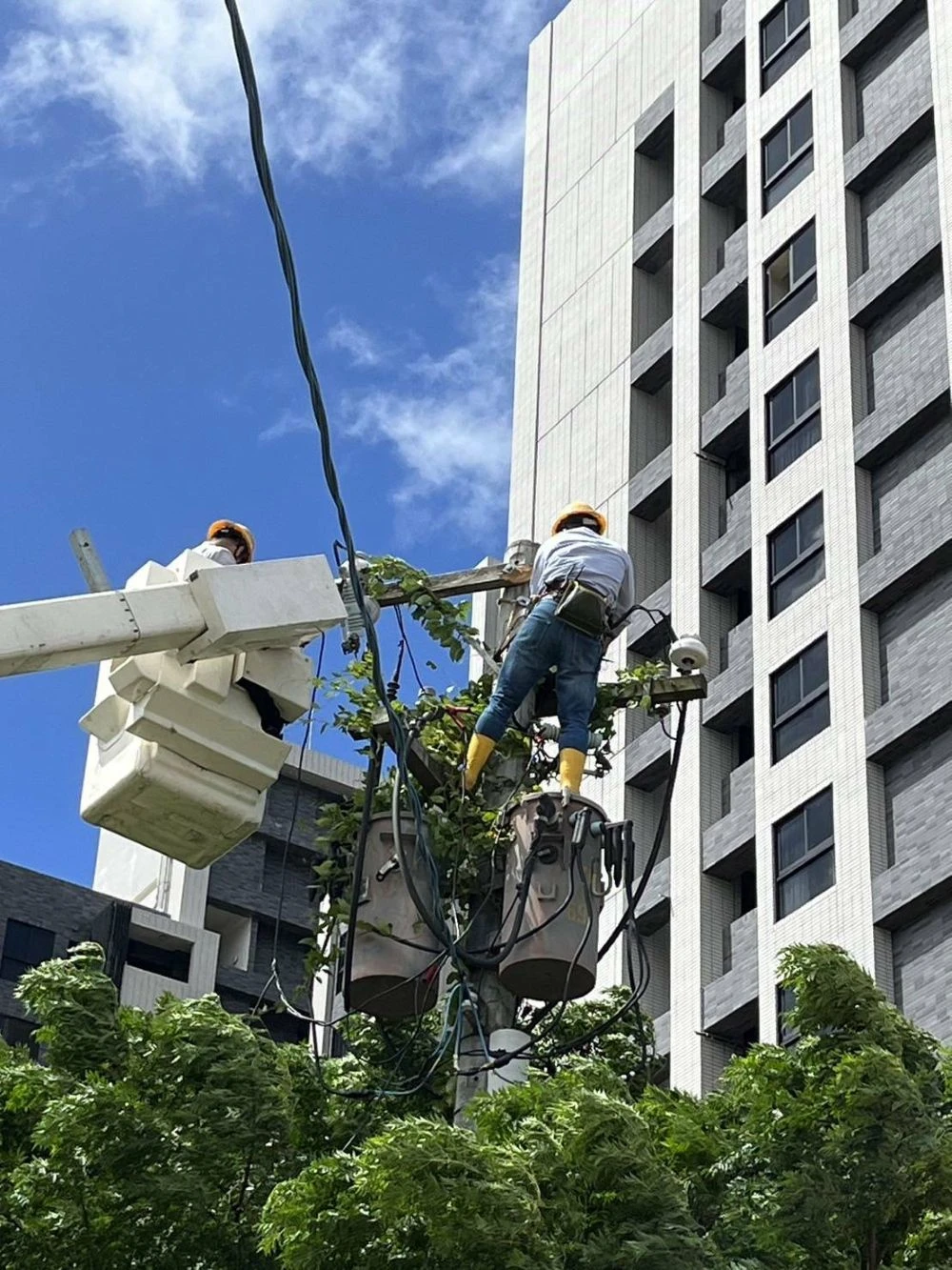 搶修楊柳颱風外圍環流停電  台電北西區處力拼今晚23：00復電