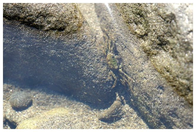 都歷木頭魚沙灘04964