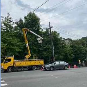 楊柳來襲     台電基隆、北市、北北、北西、北南區處總動員應戰