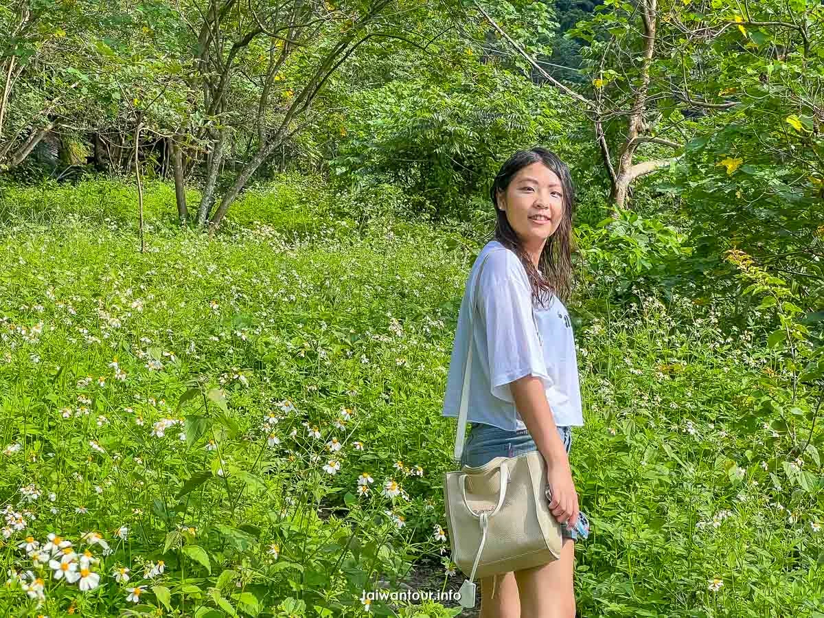 【山美部落X達娜伊谷X水上餐廳】一日遊景點介紹.門票.表演時間 【山美部落X達娜伊谷X水上餐廳】一日遊景點介紹.門票.表演時間