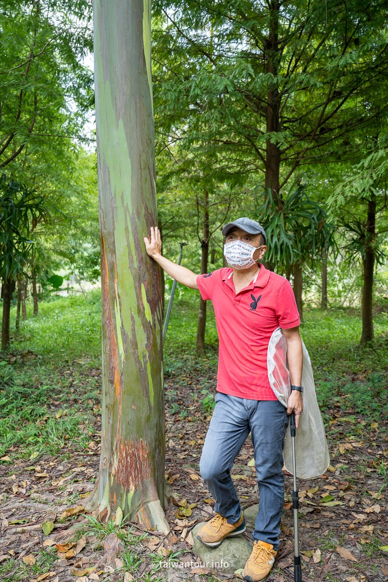 【築夢森居】攀樹.攀岩.飄飄河.嘉義親子體驗景點 【築夢森居】攀樹.攀岩.飄飄河.嘉義親子體驗景點