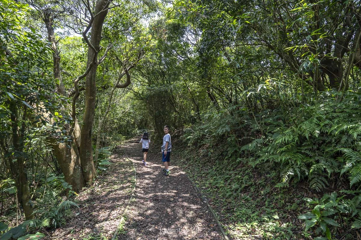 【牛港稜山登山步道】五股親子景點推薦.觀音山