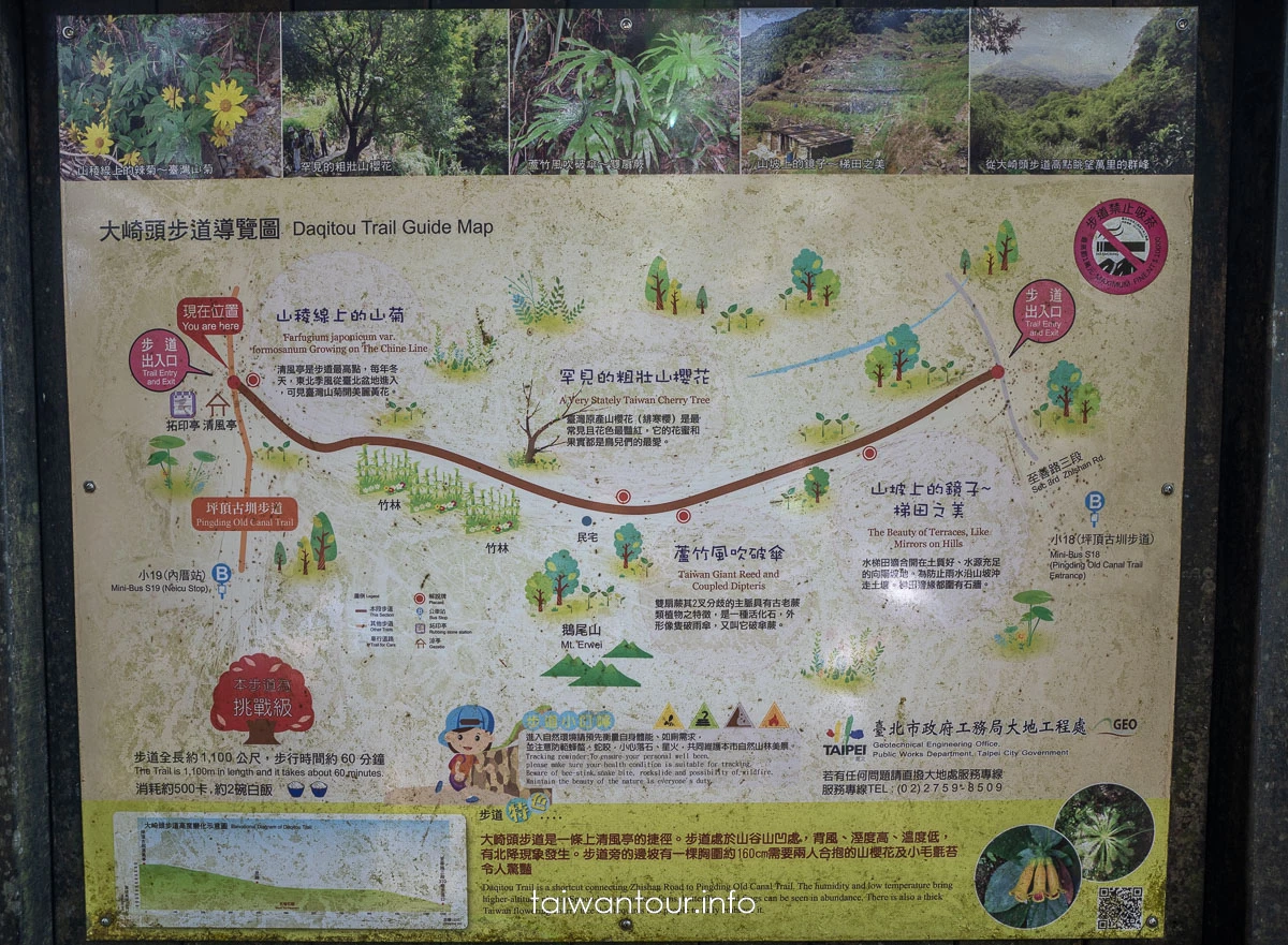 【大崎頭步道.梯田】台北親子步道公車交通.東山口 【大崎頭步道.梯田】台北親子步道公車交通.東山口