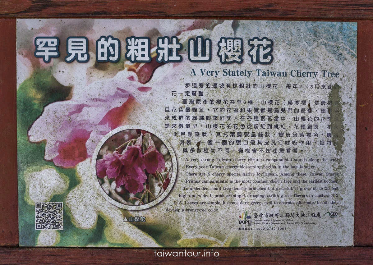 【大崎頭步道.梯田】台北親子步道公車交通.東山口 【大崎頭步道.梯田】台北親子步道公車交通.東山口