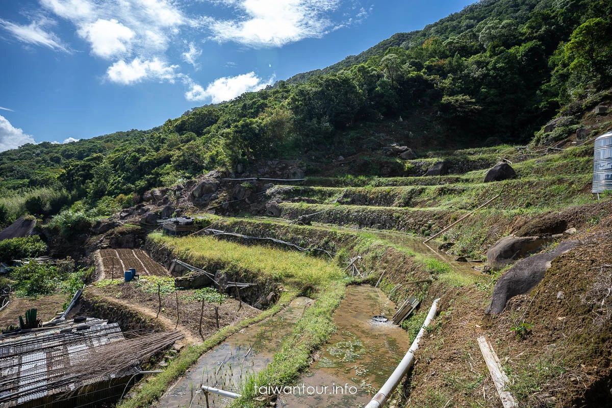 【大崎頭步道.梯田】台北親子步道公車交通.東山口