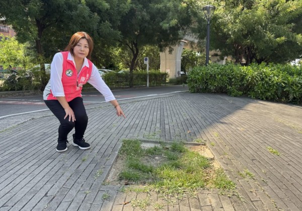 台中半年99件國賠案以道路相關設施為主　議員陳雅惠促積極改善