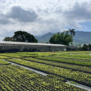 新北景觀處不藏私 分享園藝植栽養護小撇步