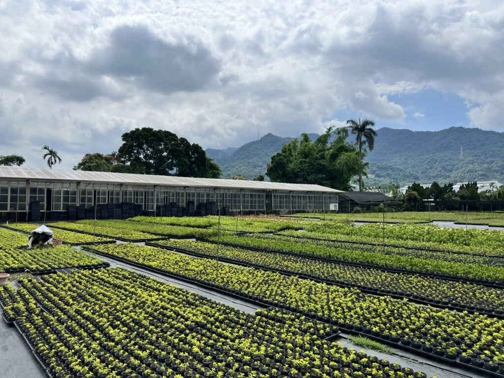 新北景觀處不藏私 分享園藝植栽養護小撇步