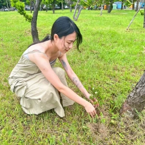 新北市邀請全民一起為地球種下一棵樹　共創健康綠植城市