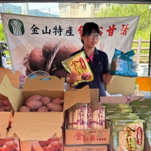 新北大力推行健康三寶甘藷展售