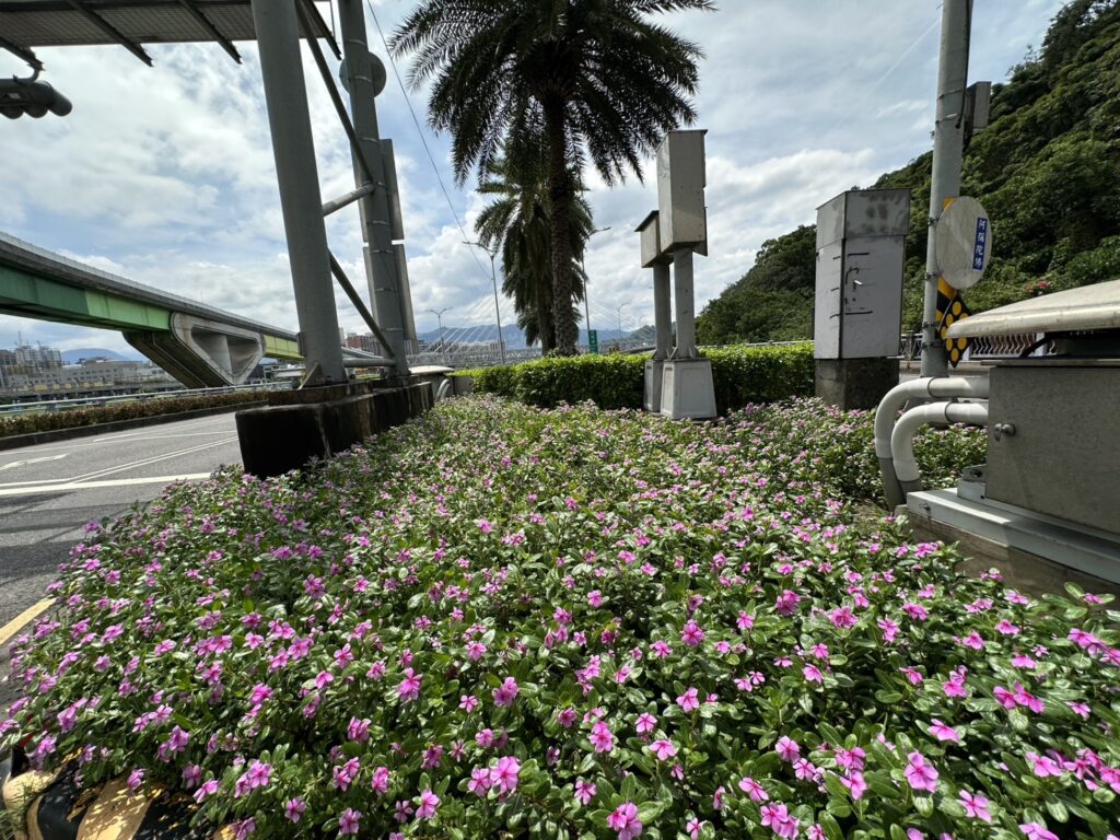 抓住夏日的尾巴  不同視覺景觀的變化與豐富