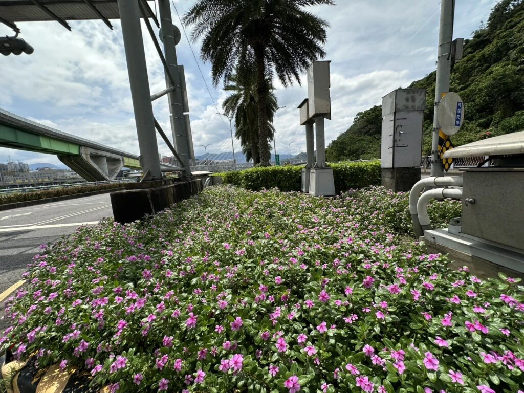 抓住夏日的尾巴  不同視覺景觀的變化與豐富