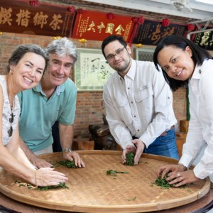 駐臺使節走訪坪林茶鄉之旅 深度體驗臺灣秘境