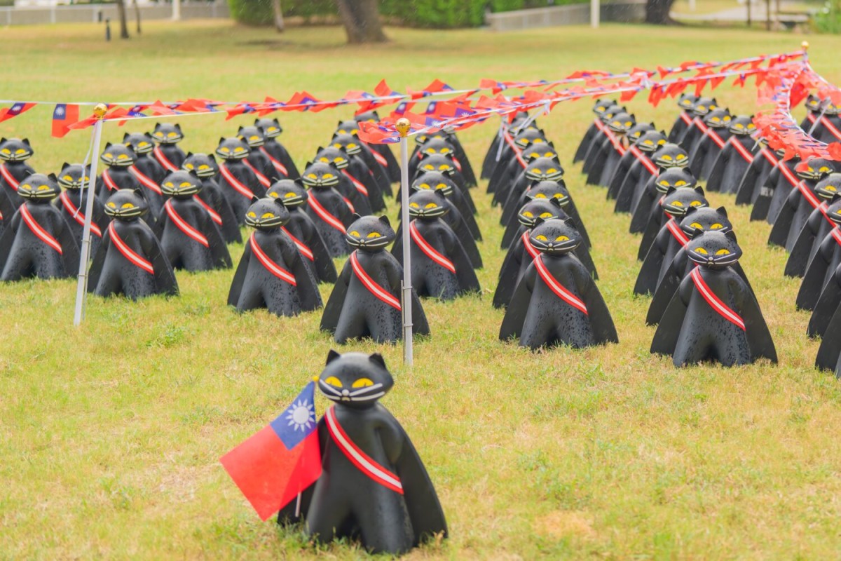 桃園最萌國慶登場！70隻黑貓整隊升旗成焦點　打造最可愛打卡城