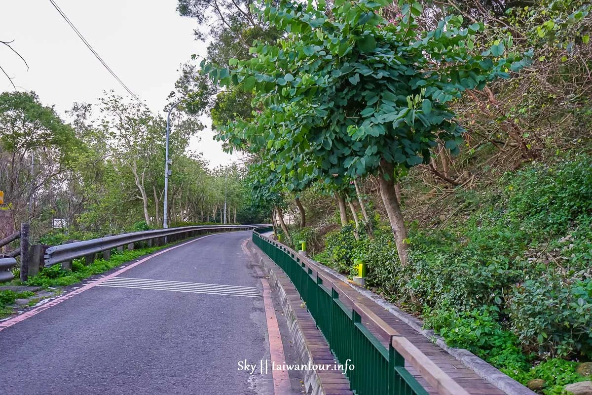 【水碓觀景公園】五股櫻花秘境百萬夜景觀景台.私房景點.公車