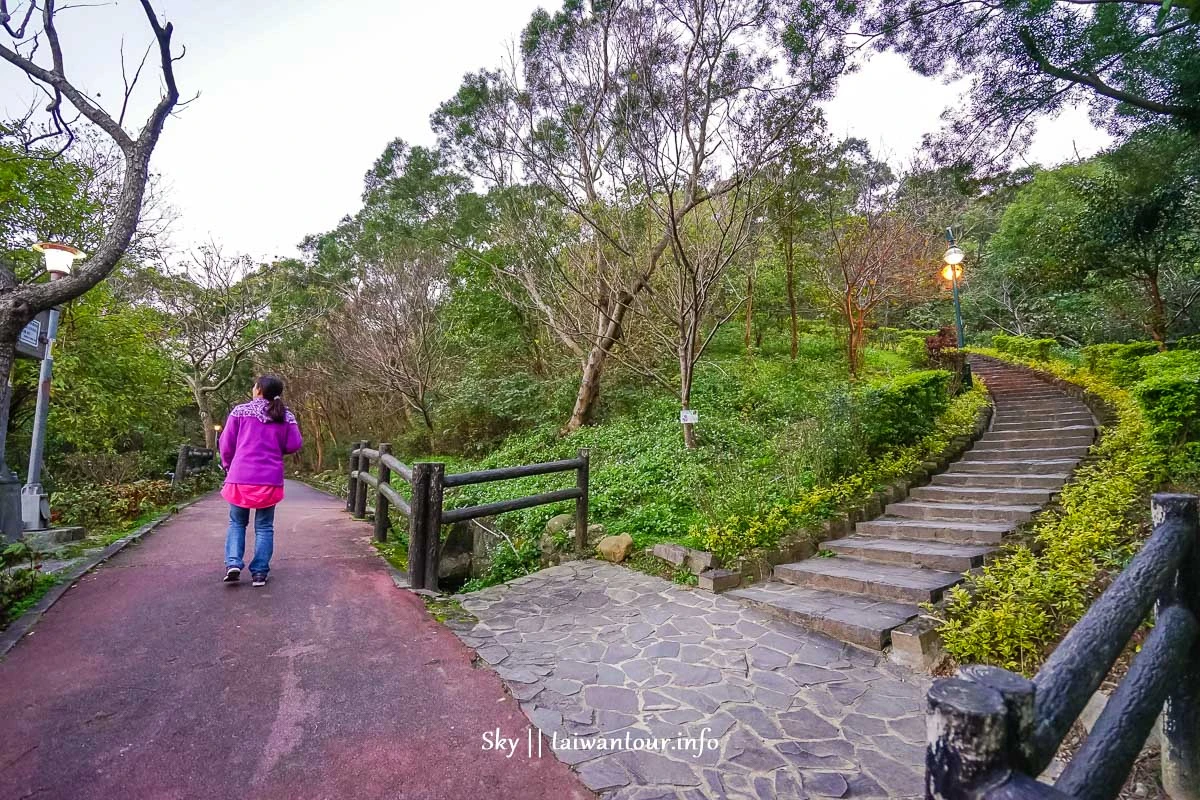 【水碓觀景公園】五股櫻花秘境百萬夜景觀景台.私房景點.公車