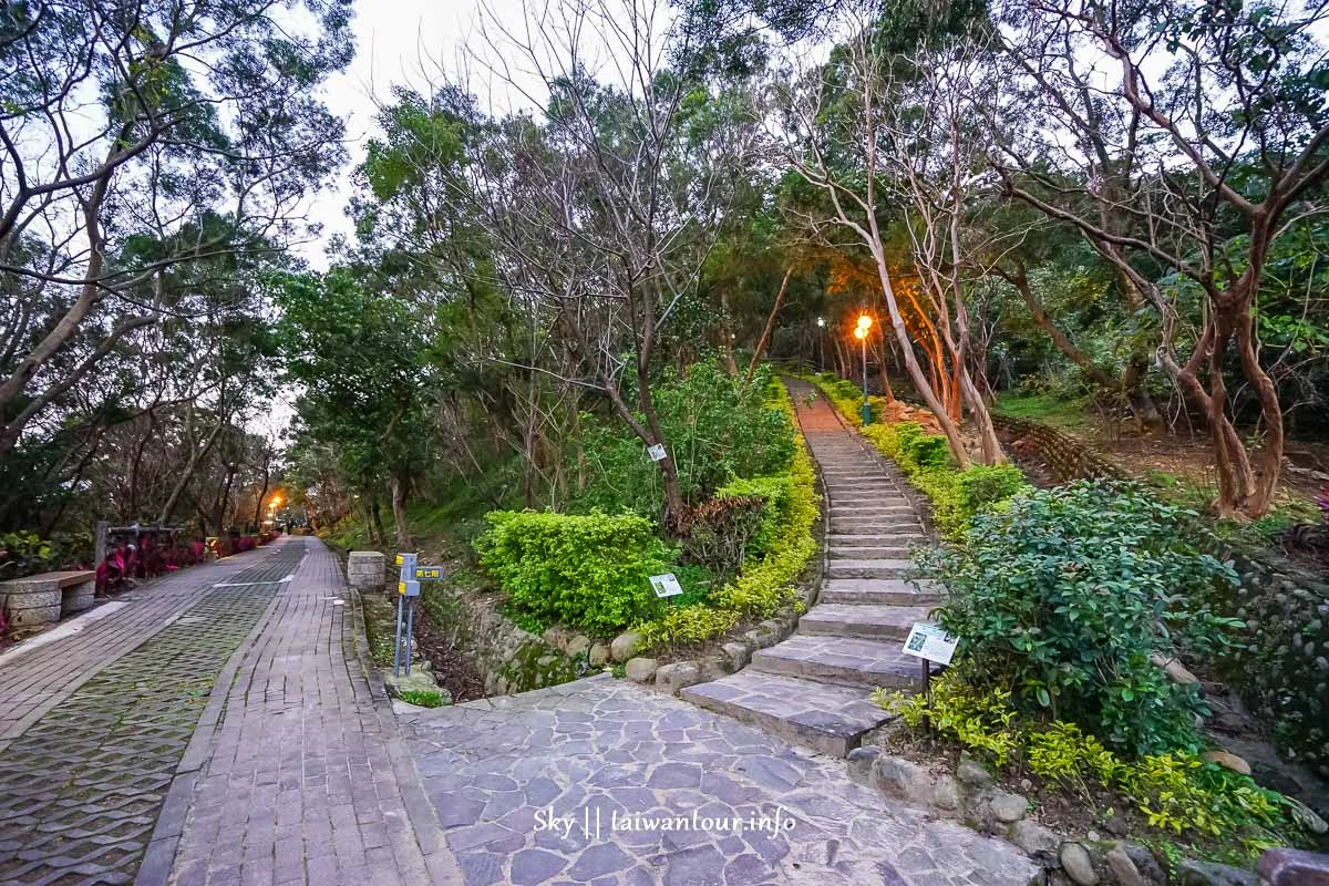 【水碓觀景公園】五股櫻花秘境百萬夜景觀景台.私房景點.公車