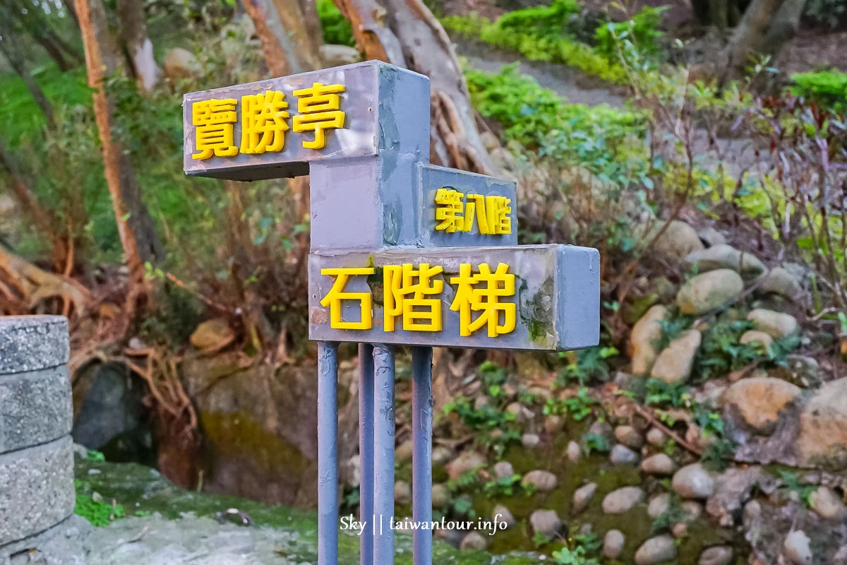 【水碓觀景公園】五股櫻花秘境百萬夜景觀景台.私房景點.公車