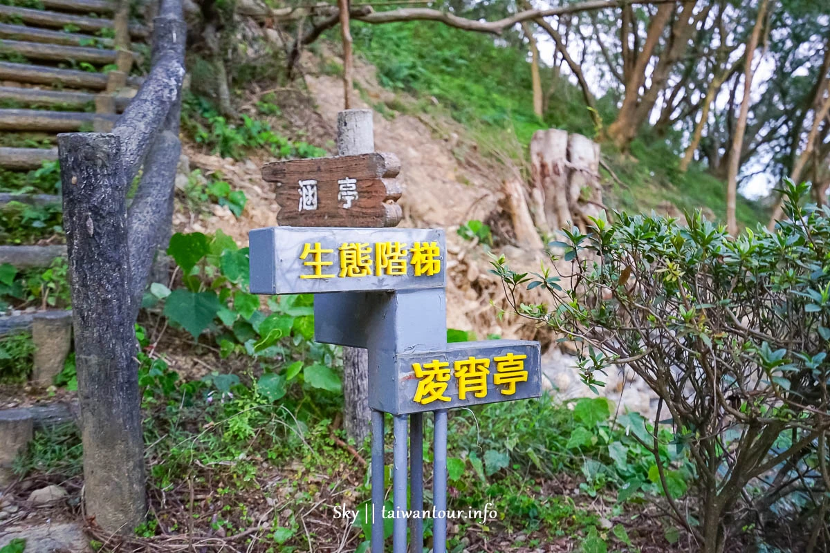 【水碓觀景公園】五股櫻花秘境百萬夜景觀景台.私房景點.公車