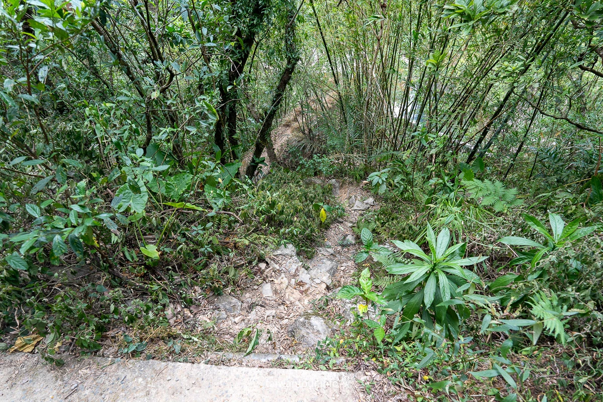 【紅河谷越嶺古道(烏來段)】新北親子步道.玩水景點 【紅河谷越嶺古道(烏來段)】新北親子步道.玩水景點