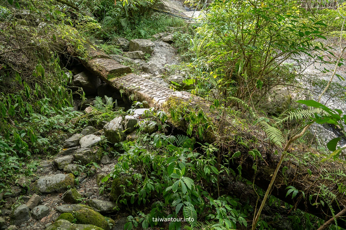 【紅河谷越嶺古道(烏來段)】新北親子步道.玩水景點 【紅河谷越嶺古道(烏來段)】新北親子步道.玩水景點