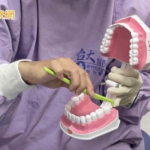 刷牙太用力反傷害牙齦　專家提醒：正確潔牙應細緻、持之以恆、用對工具