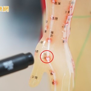 一回南部就狂打噴嚏？醫教你從體內找原因、從根本調理體質