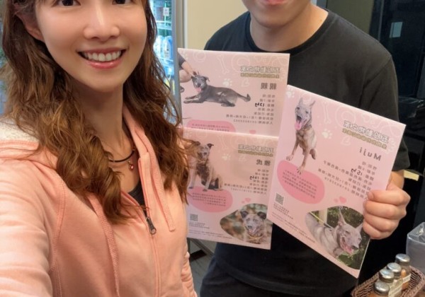 新北市動保處助飼主分擔醫療憂慮　推動認養更安心