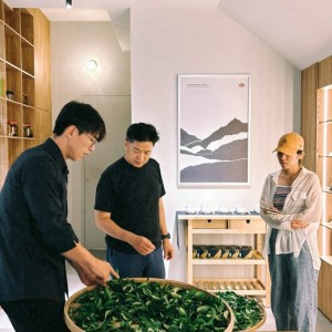 「新北農創所一號」有種茶 推出系列體驗活動與秋季優惠