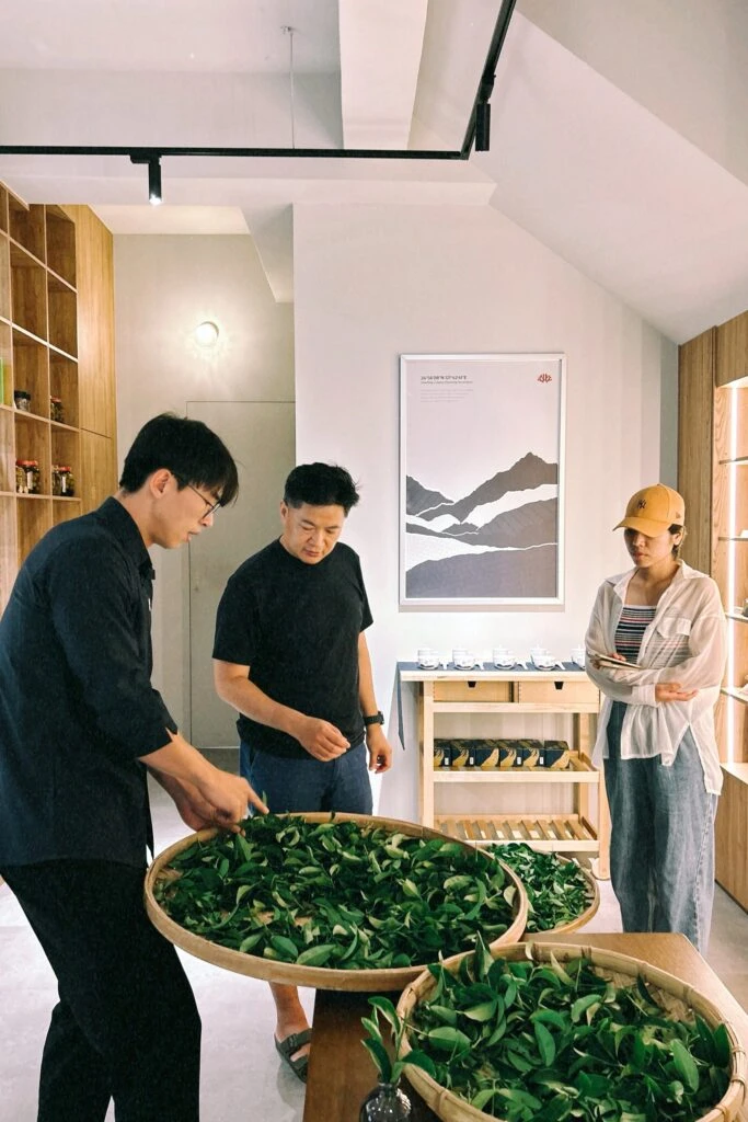 「新北農創所一號」有種茶 推出系列體驗活動與秋季優惠